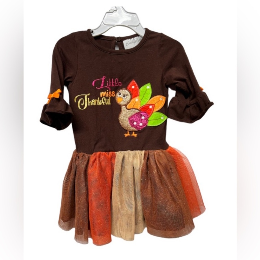 Thanksgiving outfit.  Shirt.  Turkey.‎